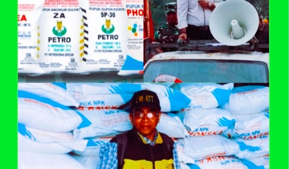 Warga Petani Manggarai Keluhkan Kelangkaan Pupuk Bersubsidi, Bupati Hery : Tergantung Pemerintah Pusat !