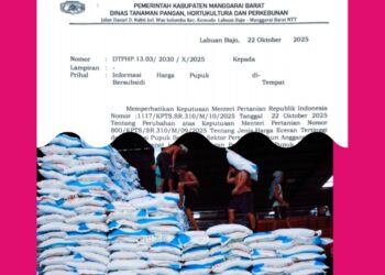 Pemerintah Turunkan Harga Pupuk Subsidi Hingga 20 persen dari harga lama , Kini Per pasang hanya Rp 182 .000 : Yang Menjual Pupuk Subsidi Melampaui HET akan dipenjara !