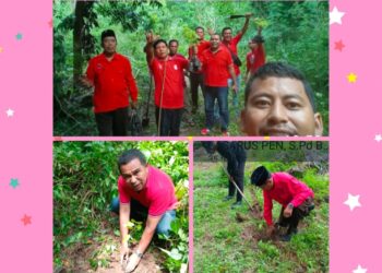 Meriahkan HUT Megawati Soekarnoputri ke -79 : PDI Perjuangan Kabupaten Manggarai Barat Gelar Aksi Penanaman 250 Anakan Pohon !