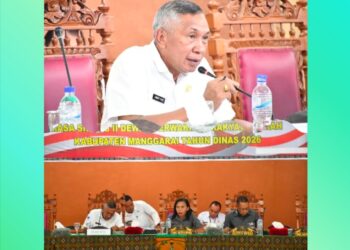 Pemkab Manggarai Dorong Hilirisasi dan Investasi Ramah Lingkungan Berbasis Potensi Lokal