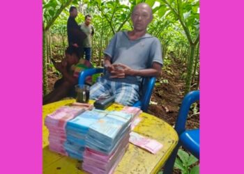 Panen Porang di Rego Mabar Tembus Rp250 Juta, Petani Nikmati Berkah Ganda !