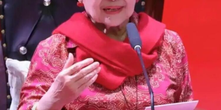 Tonton Film Pesta Babi, Megawati Menangis: “Sudah Berapa Banyak Hutan Dijadikan Sawit ?”