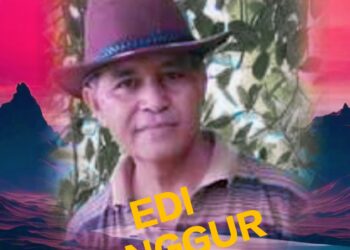 Advokat Edi Danggur: Tegakkan Keadilan dengan Cara yang Adil, Bukan Fitnah atau Kekerasan !