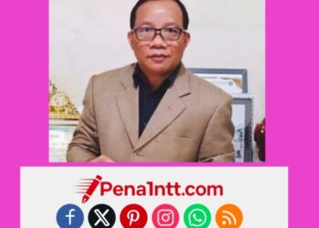 TELAK! Edi Hardum Sebut Berita Pena1NTT Sesat & Vonis Sepihak: “Saya Menduga, Bukan Menuduh”