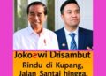 “Pulang ke Timur: Jokowi Disambut Rindu di Kupang, Jalan Santai hingga Karnaval Gajah Jadi Panggung Rakyat”