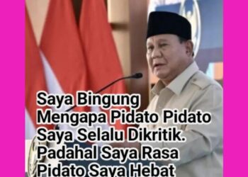 “Diuji Lewat Kritik: Presiden Butuh Kecerdasan Emosional, Bukan Hanya Ketegasan”