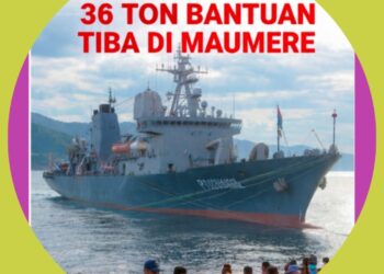 36 Ton Bantuan Tiba di Maumere, KRI Teluk Parigi Bawa Harapan dari Pentaheliks