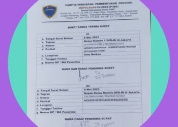 TIGA PILAR DITAKLUKKAN! P4KF Paham Betul Aturan Main, Kini Giliran Ketua Komite I DPD RI Bidang Pemekaran Resmi Terima Surat Provinsi Kepulauan Flores – Paraf FAJRI TU Jadi Bukti !