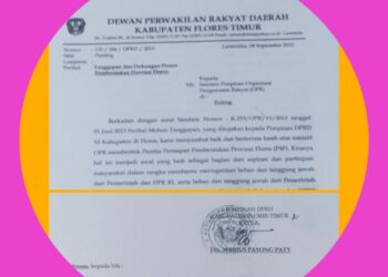 Restu Penuh Dari Ujung Timur Flores! Ketua DPRD Flores Timur Drs. Marius Payong Paty Dukung Sepenuhnya OPR Bentuk P4F dan Desak Segera Pertemuan Akbar Gubernur NTT Dengan 10 Bupati se-Flores
