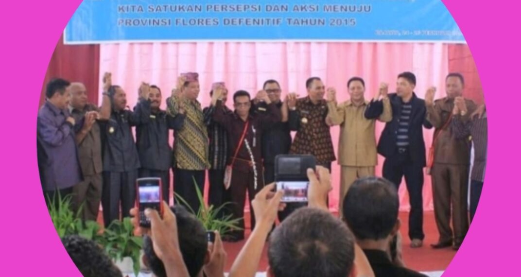 70 TAHUN ASPIRASI FLORES JADI PROVINSI TERNYATA SUDAH MELEDAK DI HADAPAN KOMISI NASROEN DI ENDE! Dari Panitia Nasroen 1950-an Sampai Kongres Rakyat Flores Lembata Alor 2014 Di Bajawa, Rakyat Flores Konsisten Minta Provinsi Sendiri!