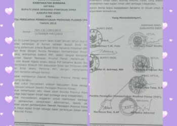 LUAR BIASA ! DOKUMEN RAHASIA 2015 TERBONGKAR: BUPATI & DPRD ENDE SEPAKAT DUKUNG PROVINSI FLORES, IBUKOTA SERAHKAN KE KAJIAN ILMIAH INDEPENDEN, BUKAN KLAIM SEPIHAK !