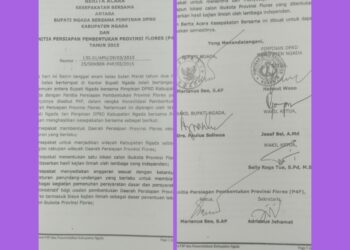 SAH! 5 KABUPATEN SUDAH TEKEN! NGADA JADI KABUPATEN KELIMA DUKUNG PROVINSI FLORES, IKUT PAKTA IBUKOTA VIA KAJIAN ILMIAH INDEPENDEN