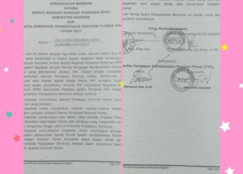 DEWASA & SIAP! 18 TAHUN MEKAR, NAGEKEO BUKTIKAN KESERIUSAN: SUDAH SIAPKAN 31 HA LAHAN BERSERTIFIKAT UNTUK IBUKOTA PROVINSI KEPULAUAN FLORES DI MBAY