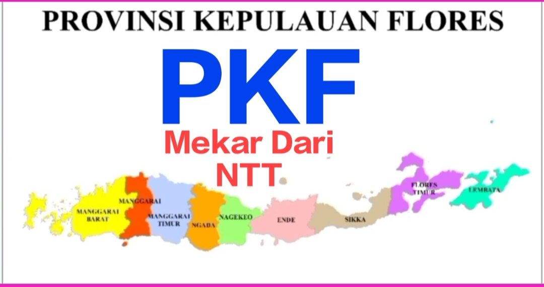 EKSKLUSIF! KETUM P4KF ADRIANUS JEHAMAT BUKA-BUKAAN DI RUTENG: USULAN PKF + LAHAN 31 HA + CALON IBUKOTA SUDAH DI MEJA PRESIDEN & TEREGISTRASI KEMENDAGRI DARI 337 DOB SE-INDONESIA!