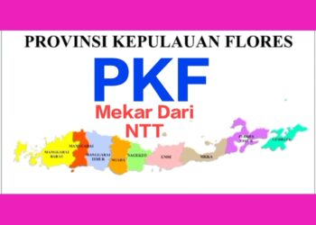 EKSKLUSIF! KETUM P4KF ADRIANUS JEHAMAT BUKA-BUKAAN DI RUTENG: USULAN PKF + LAHAN 31 HA + CALON IBUKOTA SUDAH DI MEJA PRESIDEN & TEREGISTRASI KEMENDAGRI DARI 337 DOB SE-INDONESIA!