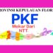 EKSKLUSIF! KETUM P4KF ADRIANUS JEHAMAT BUKA-BUKAAN DI RUTENG: USULAN PKF + LAHAN 31 HA + CALON IBUKOTA SUDAH DI MEJA PRESIDEN & TEREGISTRASI KEMENDAGRI DARI 337 DOB SE-INDONESIA!