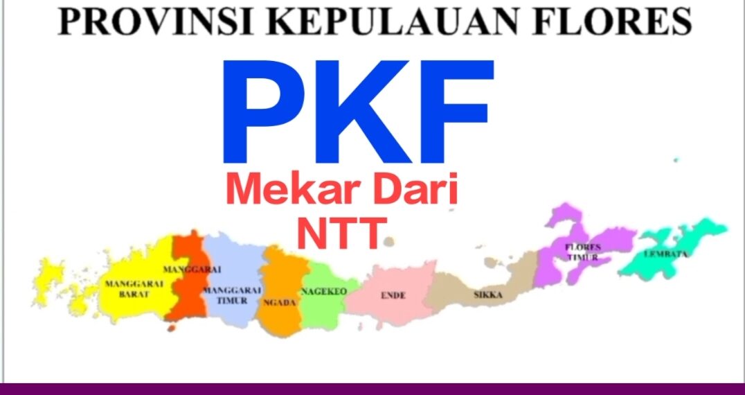 KLAIM SEBAGAI PELAKU SEJARAH! DR. GORIS LEWOLEBA TULIS TESTIMONI PANJANG: DARI SEKRETARIAT WISMA NTT TEBET 2002 BERSAMA FRANS SEDA HINGGA MUBES RUTENG 2003 – UNGKAP 3 BUPATI TOLAK HADIR DI HOTEL SAHID!