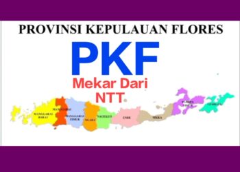 KLAIM SEBAGAI PELAKU SEJARAH! DR. GORIS LEWOLEBA TULIS TESTIMONI PANJANG: DARI SEKRETARIAT WISMA NTT TEBET 2002 BERSAMA FRANS SEDA HINGGA MUBES RUTENG 2003 – UNGKAP 3 BUPATI TOLAK HADIR DI HOTEL SAHID!