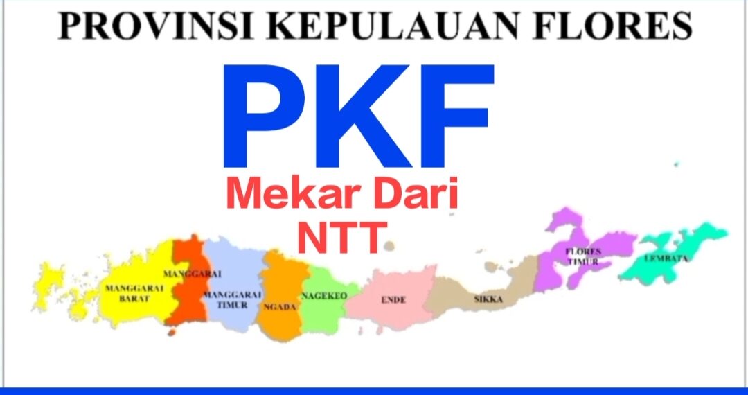 TERKUAK! MENGAPA KLAIM-KLAIM MUNCUL SETELAH http://ISTANANETIZEN.COM BONGKAR SEJARAH PKF 1950-2026! FAKTA: OPR BESUTAN ADRIANUS JEHAMAT BENTUK P4F 8 MEI 2013 DI 10 KABUPATEN DARI MANGGARAI BARAT HINGGA ALOR, BERUBAH JADI P4KF PASCA KONGRES MBAY 20 MARET 2015 – SUDAH 3 KALI AJUKAN USULAN RESMI KE PRESIDEN HINGGA KAPOLRI DAN TEREGISTRASI 337 DOB!