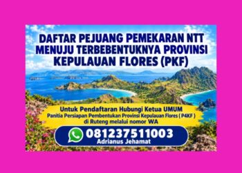 TEMBUS LEMBATA! P4KF TAMBAH AMUNISI PEJUANG – 6 SAKSI RAKYAT DARI COMPANG CONGKAR HINGGA RIANGBAO SIAP GUNCANG EL TARI TAGIH PKF