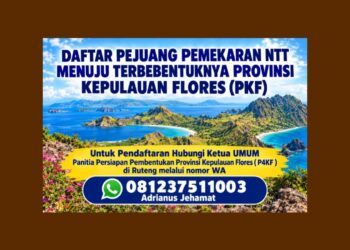 GELORA PKF MEMBESAR! P4KF PATOK TARGET 10 HINGGA 100 PEJUANG PER KABUPATEN, FLORES SIAP GERUDUK KUPANG DENGAN 900 PEJUANG