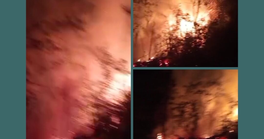 BREAKING NEWS MALAM INI! KEBAKARAN HUTAN BESAR LALAP KAWASAN RANA MESE! API BERKOBAR HEBAT DI PINGGIR JALAN RUTENG – BORONG!
