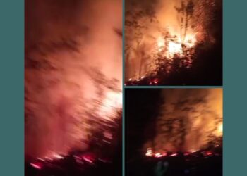 BREAKING NEWS MALAM INI! KEBAKARAN HUTAN BESAR LALAP KAWASAN RANA MESE! API BERKOBAR HEBAT DI PINGGIR JALAN RUTENG – BORONG!