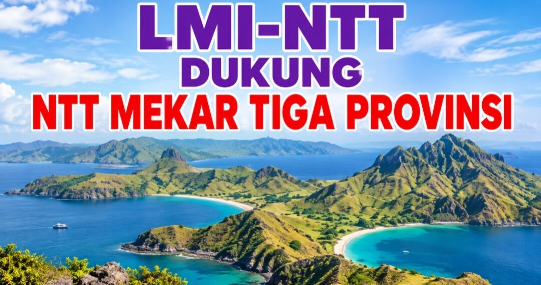 GEGER! KETUA LMI-NTT MARSEL ADRISNUS PELEALU DARI MARKAS MANGARAI TIMUR TURUN GUNUNG: DUKUNG P4KF, BONGKAR KETIDAKADILAN PEMBANGUNAN DI NTT, JALAN DI KUPANG MULUS TEBAL, JALAN DI FLORES & SUMBA TIPIS CEPAT RUSAK!
