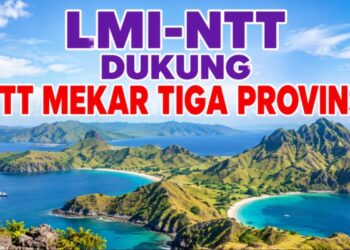 GEGER! KETUA LMI-NTT MARSEL ADRISNUS PELEALU DARI MARKAS MANGARAI TIMUR TURUN GUNUNG: DUKUNG P4KF, BONGKAR KETIDAKADILAN PEMBANGUNAN DI NTT, JALAN DI KUPANG MULUS TEBAL, JALAN DI FLORES & SUMBA TIPIS CEPAT RUSAK!
