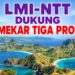 GEGER! KETUA LMI-NTT MARSEL ADRISNUS PELEALU DARI MARKAS MANGARAI TIMUR TURUN GUNUNG: DUKUNG P4KF, BONGKAR KETIDAKADILAN PEMBANGUNAN DI NTT, JALAN DI KUPANG MULUS TEBAL, JALAN DI FLORES & SUMBA TIPIS CEPAT RUSAK!