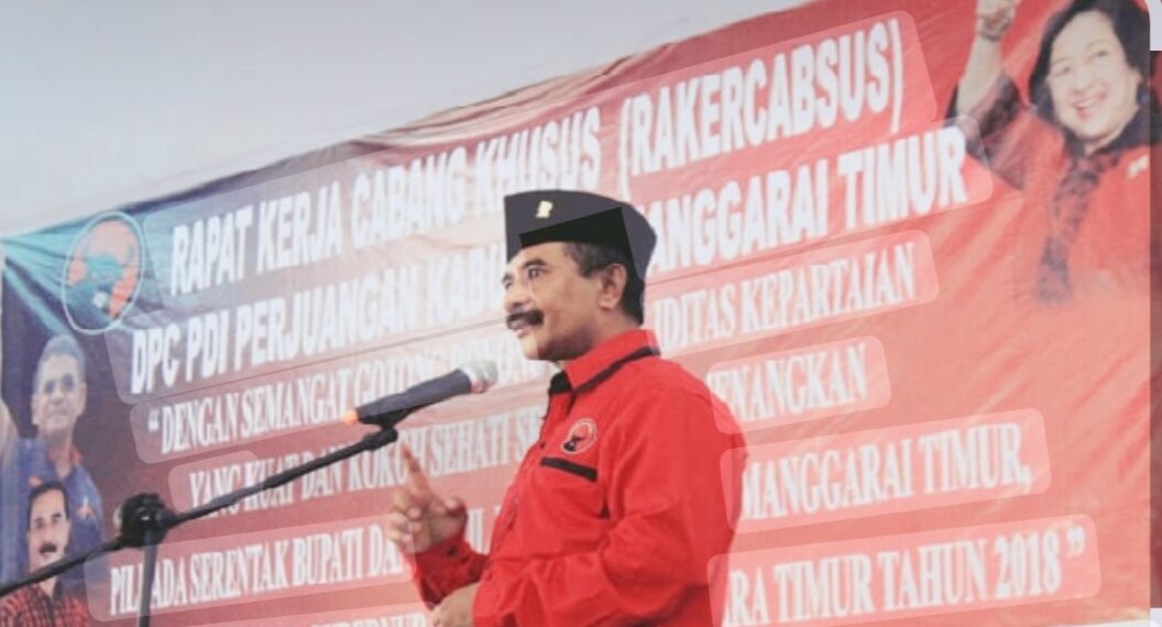 MANTAN KETUA DPC PDIP MANGGARAI TIMUR WILI NURDIN DARI BORONG TURUN GUNUNG: LANGKAH P4KF SUDAH SANGAT TEPAT, FLORES WAJIB JADI PROVINSI, IBUKOTA JANGAN DIPERDEBATKAN!