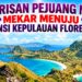 FRANS MADO USUL GELAR RAKERNAS PKF KUPANG! SIKKA AMANKAN KURSI 13 & 17-19!