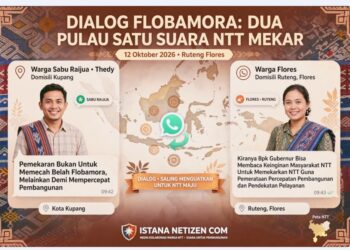DIBALAS WARGA FLORES: PAK GUBERNUR, DENGARKAN JERITAN NTT MAU MEKAR!