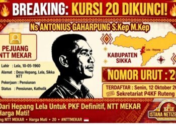 DARI HEPANG LELA MAUMERE: Ns. ANTONIUS GAHARPUNG AMANKAN KURSI 20 PEJUANG NTT MEKAR!