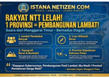 RAKYAT NTT LELAH! SELAMA MASIH 1 PROVINSI, PEMBANGUNAN PASTI LAMBAT!