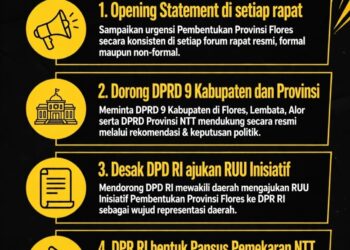 DOBRAK! DOSEN LEMBATA: JANGAN TUNGGU RESTU GUBERNUR, GAUNGKAN FLORES DI DPR RI!