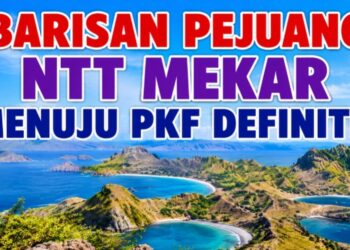 TERKUAK! Ini Daftar Lengkap 23 Pejuang NTT Mekar dari 6 Kabupaten, Sikka Terbanyak