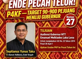 ENDE PECAH TELUR! SEPTIANUS YUNUS TAKA Jadi Pejuang Pertama Dari Bumi Pancasila – Nomor Urut 27