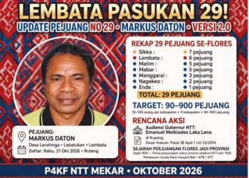 PEJUANG 29 DARI LEMBATA! Target 900 Pejuang Desak Gubernur Bentuk PKF – Perjuangan Sejak 1954