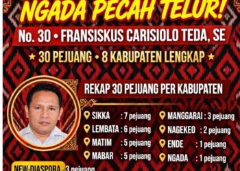 NGADA PECAH TELUR! 30 Pejuang, 8 Kabupaten Flores Lengkap!