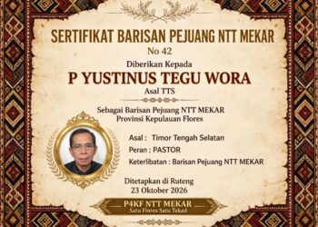PATER YUSTINUS DUKUNG PEMEKARAN NTT MENUJU TERBENTUKNYA PKF