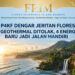 P4KF Dengar Jeritan Flores: Geothermal Ditolak, Energi Matahari, Angin & Arus Laut Jadi Jalan Mandiri Provinsi Kepulauan Flores!
