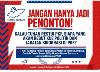 SENTIL POLITISI FLORES! LMI NTT: JANGAN JADI PENONTON, SIAPA NANTI YANG REBUT KUE JABATAN PKF?